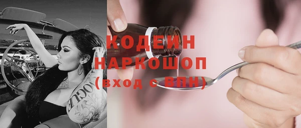 хмурый Алзамай