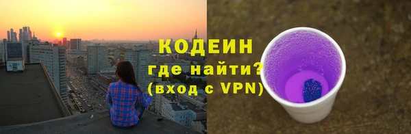 хмурый Алзамай
