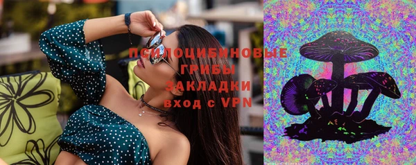 хмурый Алзамай