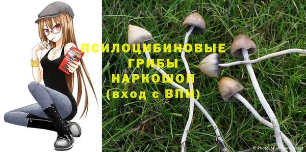 хмурый Алзамай