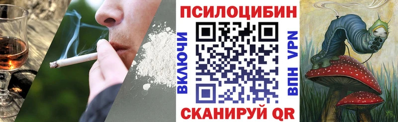 Псилоцибиновые грибы GOLDEN TEACHER  кракен ссылки  Бодайбо  наркошоп 